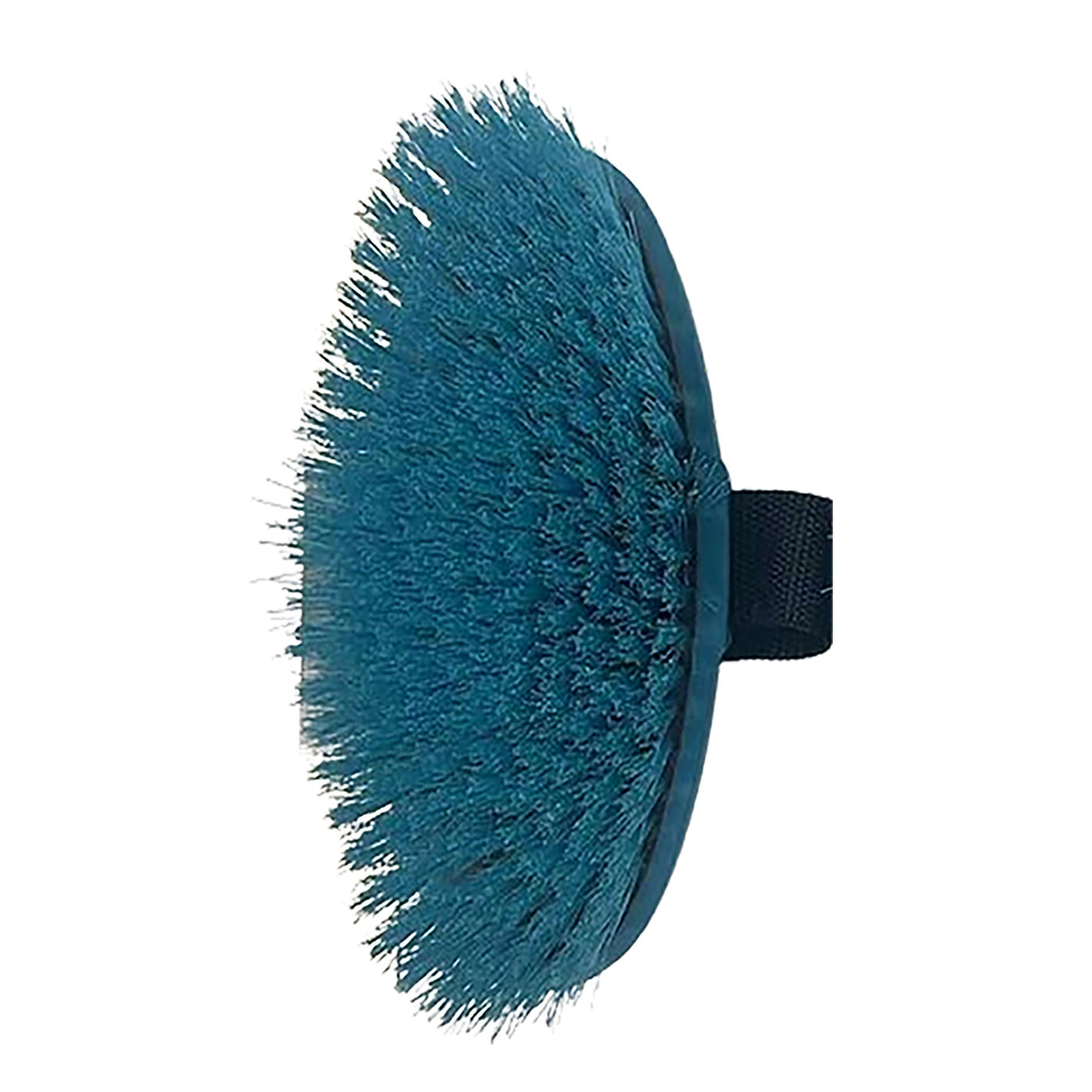 HORSE TEAL (20X6.1) BODY BRUSH